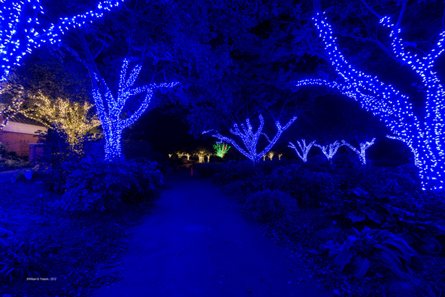 Winter Walk of Lights at Meadowlark Botanical Gardens