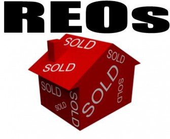 What is a REO?