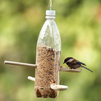 backyard-bird-feeder-spring-craft-photo-420-FF0507EFDA01